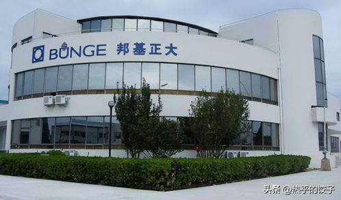 胖東來繞開國內油企，以自主采購保障食用油食品安全
